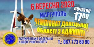Чемпіонат Донецької області з аджиліті 06.09.2020