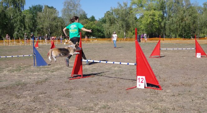 Чемпіонат України з аджиліті (юніори) 5-6.05.2021