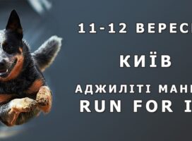 Чемпіонат України з аджиліті / Фінал Кубку України з аджиліті 10-13.09.2021