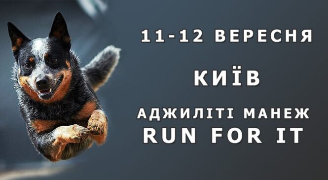 Чемпіонат України з аджиліті / Фінал Кубку України з аджиліті 10-13.09.2021