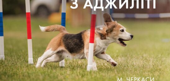 Черкаські обласні змагання з аджиліті 23.09.2023