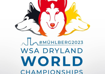 Чемпіонат світу з драйленду 8-10.12.2023