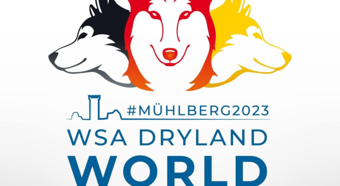 Чемпіонат світу з драйленду 8-10.12.2023