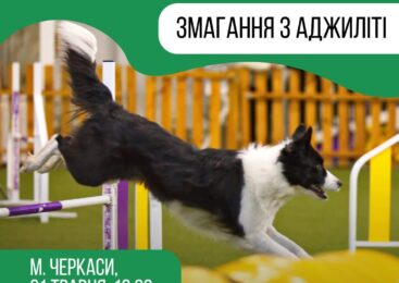 Аджиліті-змагання в Черкасах! 31.05.2025