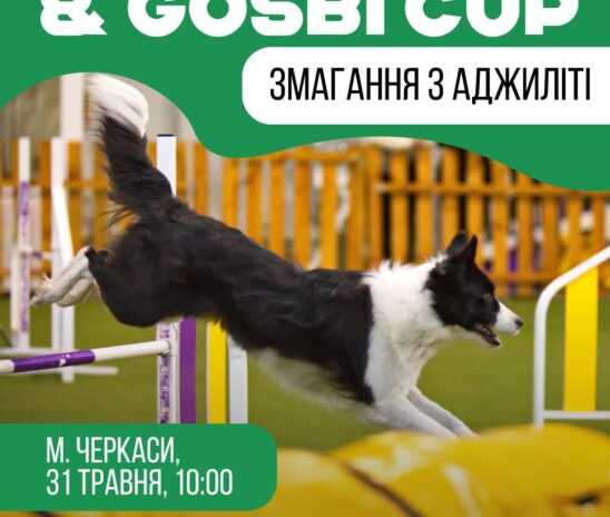 Аджиліті-змагання в Черкасах! 31.05.2025