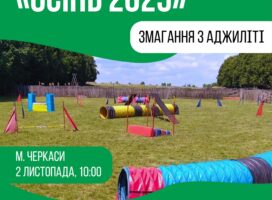 Клубний турнір з аджиліті “Осінь-2025” 02.11.2025