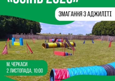 Клубний турнір з аджиліті “Осінь-2025” 02.11.2025