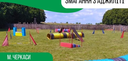 Клубний турнір з аджиліті “Осінь-2025” 02.11.2025