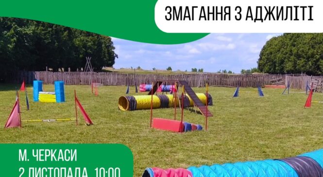 Клубний турнір з аджиліті “Осінь-2025” 02.11.2025
