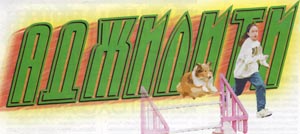 Аджилити 1 Аджилити