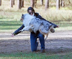 Лучший партнер в танце – друг четвероногий! 1 Лучший партнер в танце – друг четвероногий!