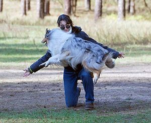 Лучший партнер в танце – друг четвероногий!